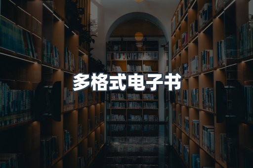 多格式电子书